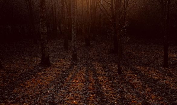Twilight