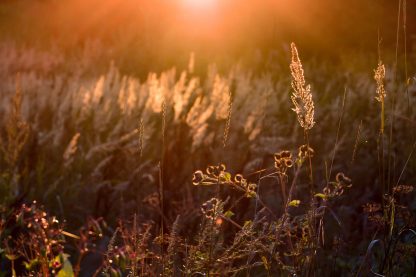 Workshop landschapsfotografie in Limburg